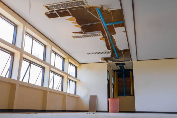 Best 24/7 water damage repair  in Stevensville, MI