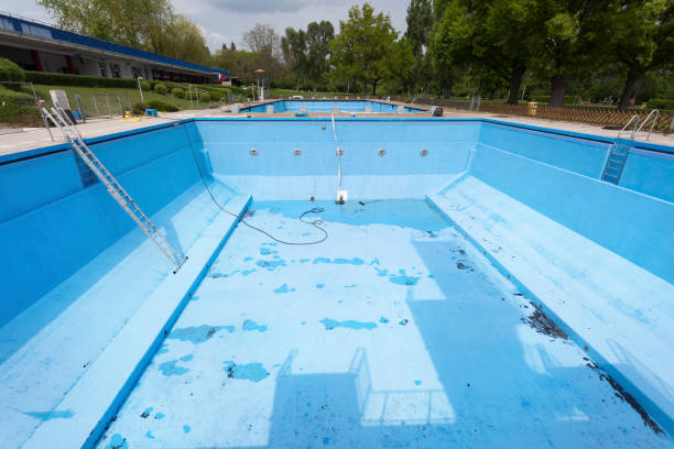 Best Basement water damage restoration  in Stevensville, MI
