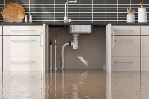 Water damage restoration insurance claims in MI