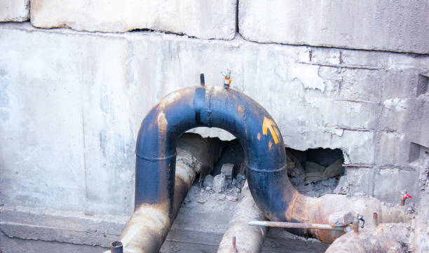 Best Residential water damage restoration  in Stevensville, MI
