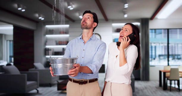 Water damage restoration mold remediation in MI