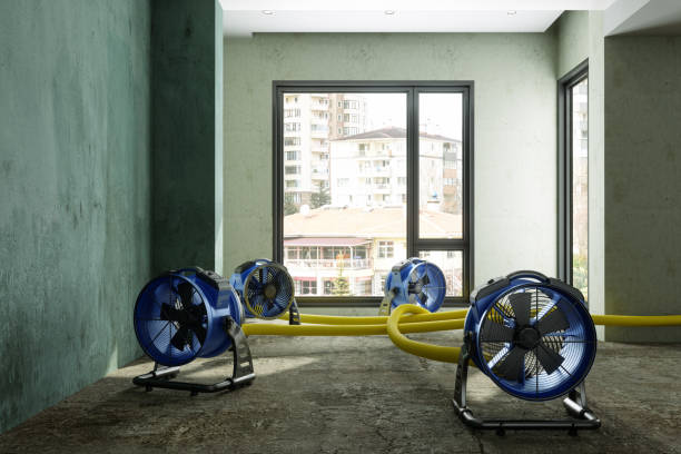 Best Water damage restoration mold remediation  in Stevensville, MI